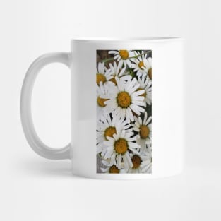 Bouquet of daisies in the garden Mug